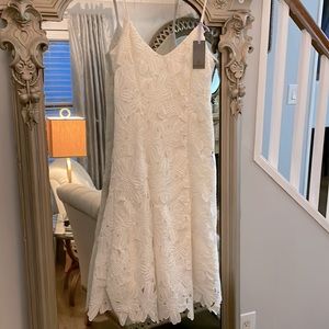 Vera Wang knee length dress.